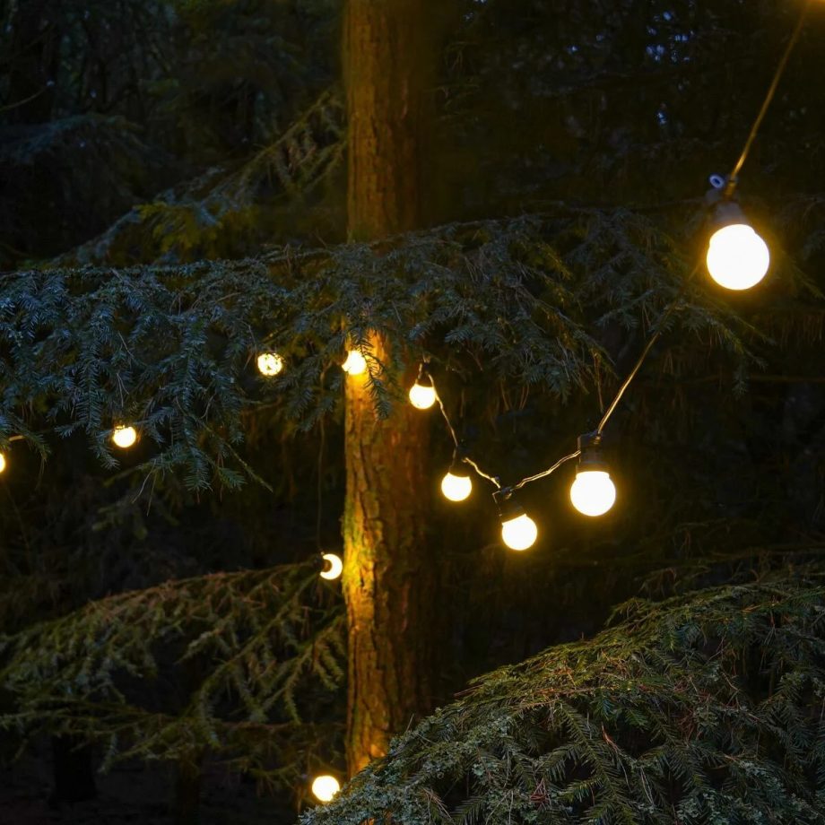 Warm White Festoon String Lights, Frosted LED Bulbs (Connectable & Multi Powering Options) (STARTER RANGE)
